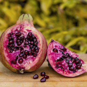 Гранат Ачік-Дона, 1 річний, 0.8л