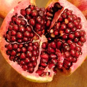 Гранат Ак-Дона, 1 річний, 0.8л