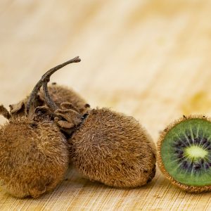 Ківі самозапильний Джені, 1 річний, 0.8л