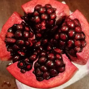 Гранат Нікітський ранній, 1 річний, 0.8л