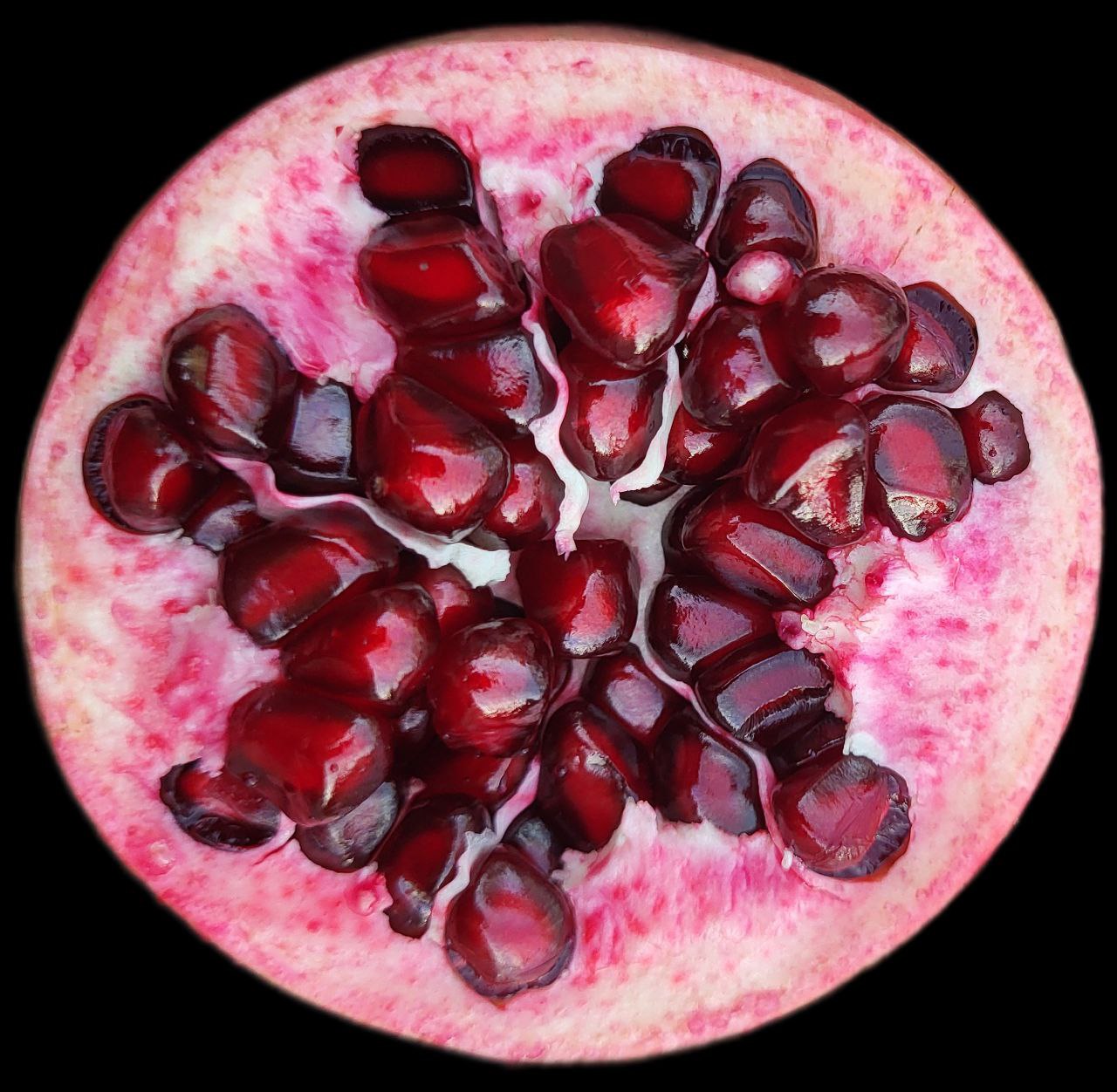 Гранат Турецький безкісточковий, 1 річний, 0.8л