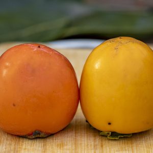 Хурма східна Хіакуме, 1-річна, від 50 см, 2-3 л